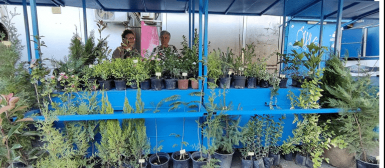 Велико Търново е домакин на първия фермерски пазар фермерски пазар във велико търново