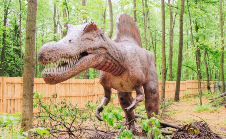 изложба на динозаври в парк бачиново -благоевград