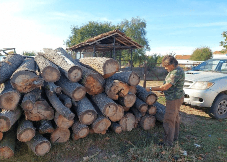 Продължават засилените проверките в страната по спазване на горското и ловно законодателства проверки на дървесина