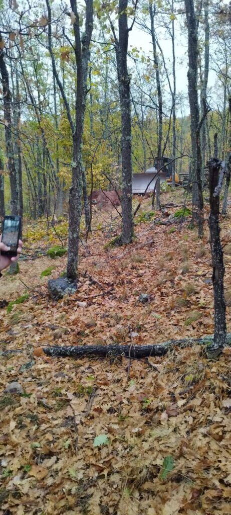 незаконна сеч в село добри дол