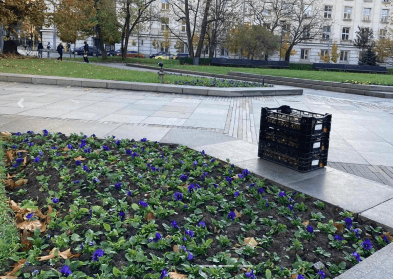 В София започна засаждането на пролетни цветя в парковете засаждане с пролетни цветя в софия