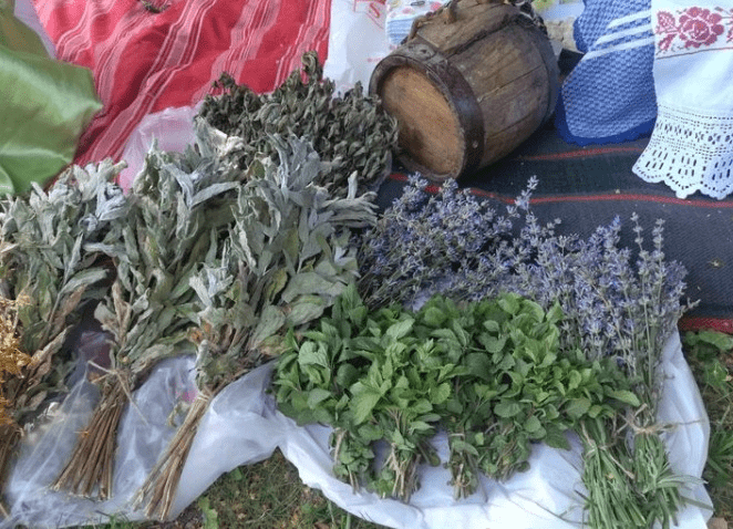 С билки и песни на Еньовден в Силистра еньовден в силистра