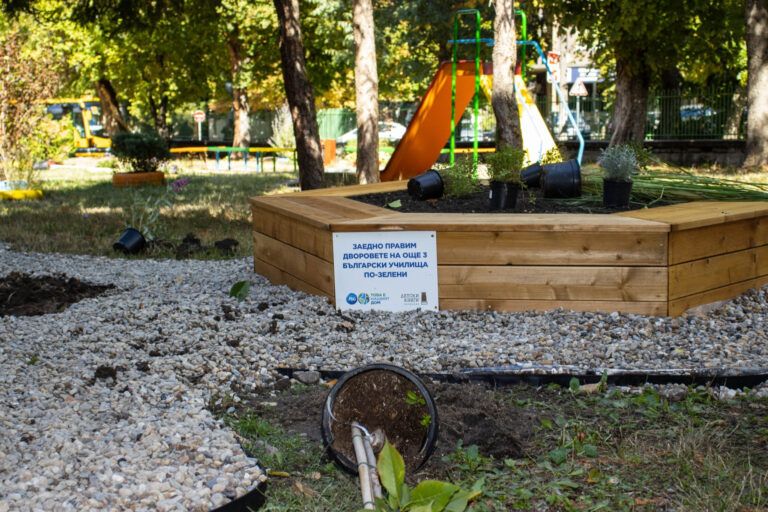 Училищен двор в Плевен стана по-зелен училищен двор в плевен