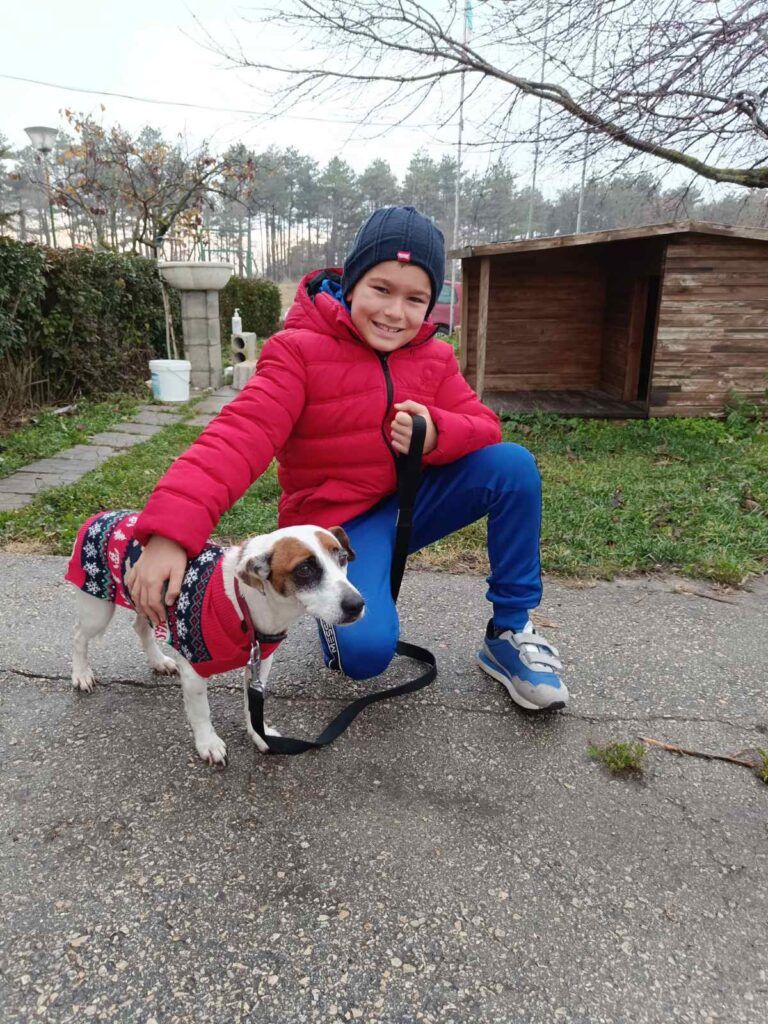 осиновени кучета