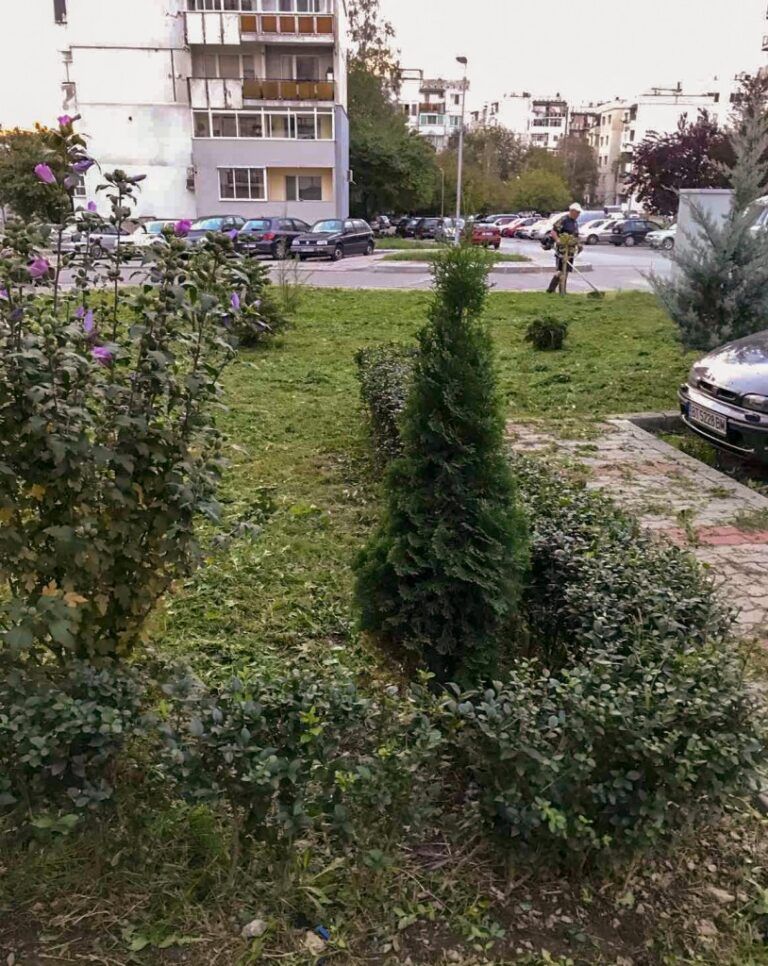 „Моята градинка“ стартира във Велико Търново за 13-а поредна година моята градинка стартира във велико търново