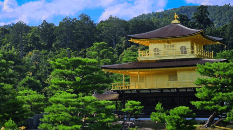 Габрово търсят ученици за младежки обмен в Япония конкурс за участници в младежки обмен