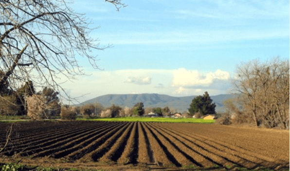 Правителството одобри промени в Стратегическия план за развитие на земеделието и селските райони 2023 – 2027 г. земеделие в селските райони