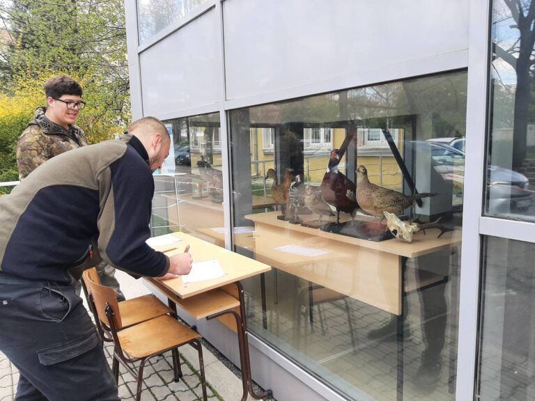 състезание по горски многобой