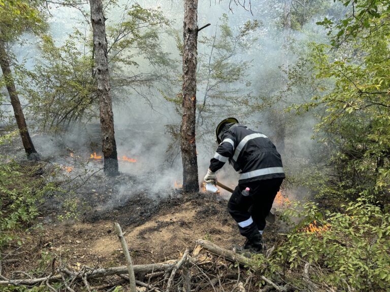 фондация на кока кола