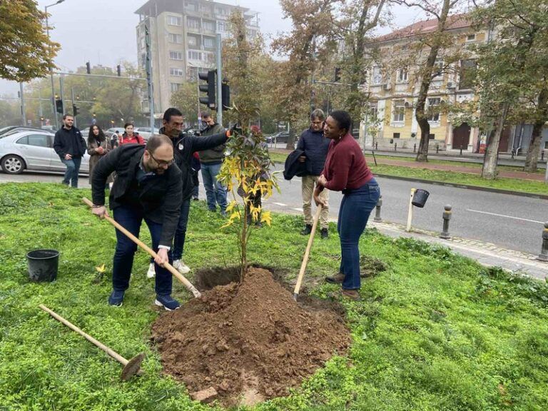 лиз райд засади дръвче в пловдив
