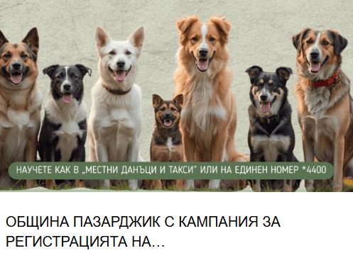Община Пазарджик с кампания за регистрация на домашни кучета община пазарджик с кампания за регистрация на домашни кучета